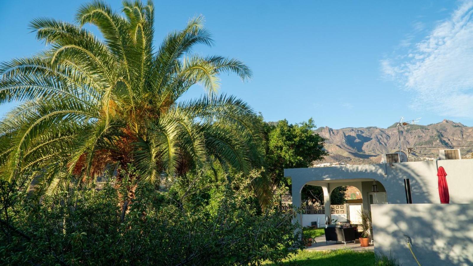 Gran Canaria Completely Renovated With Jacuzzi Landhuis